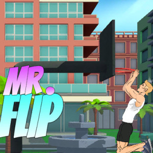 Mr Flip Mr Flip