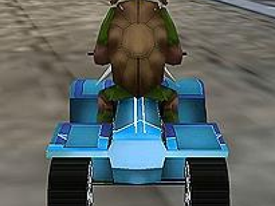Ninja Turtles Sewers Race 3D background